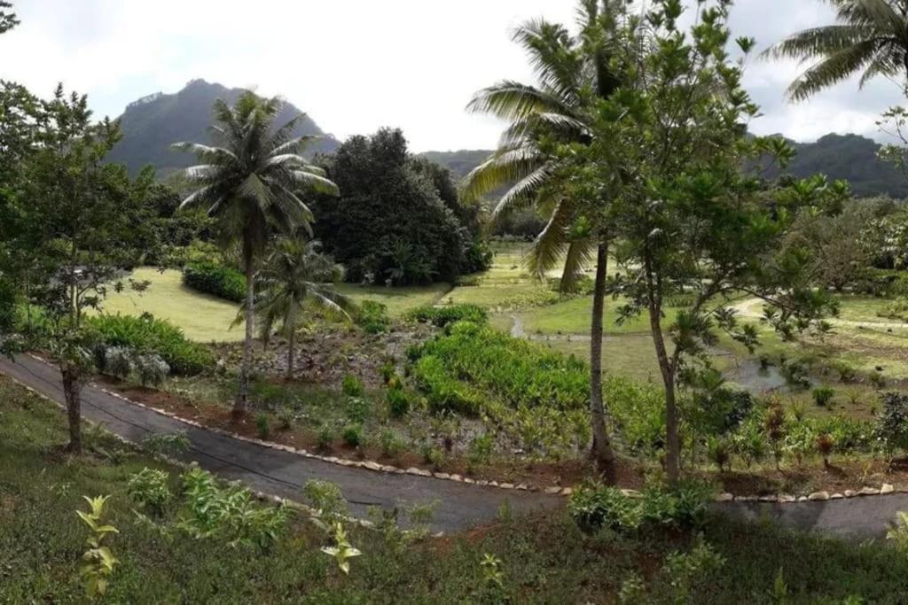 Duplex En Bord De Mer Fare Tahitea Pension Taputapuapea Esterno foto