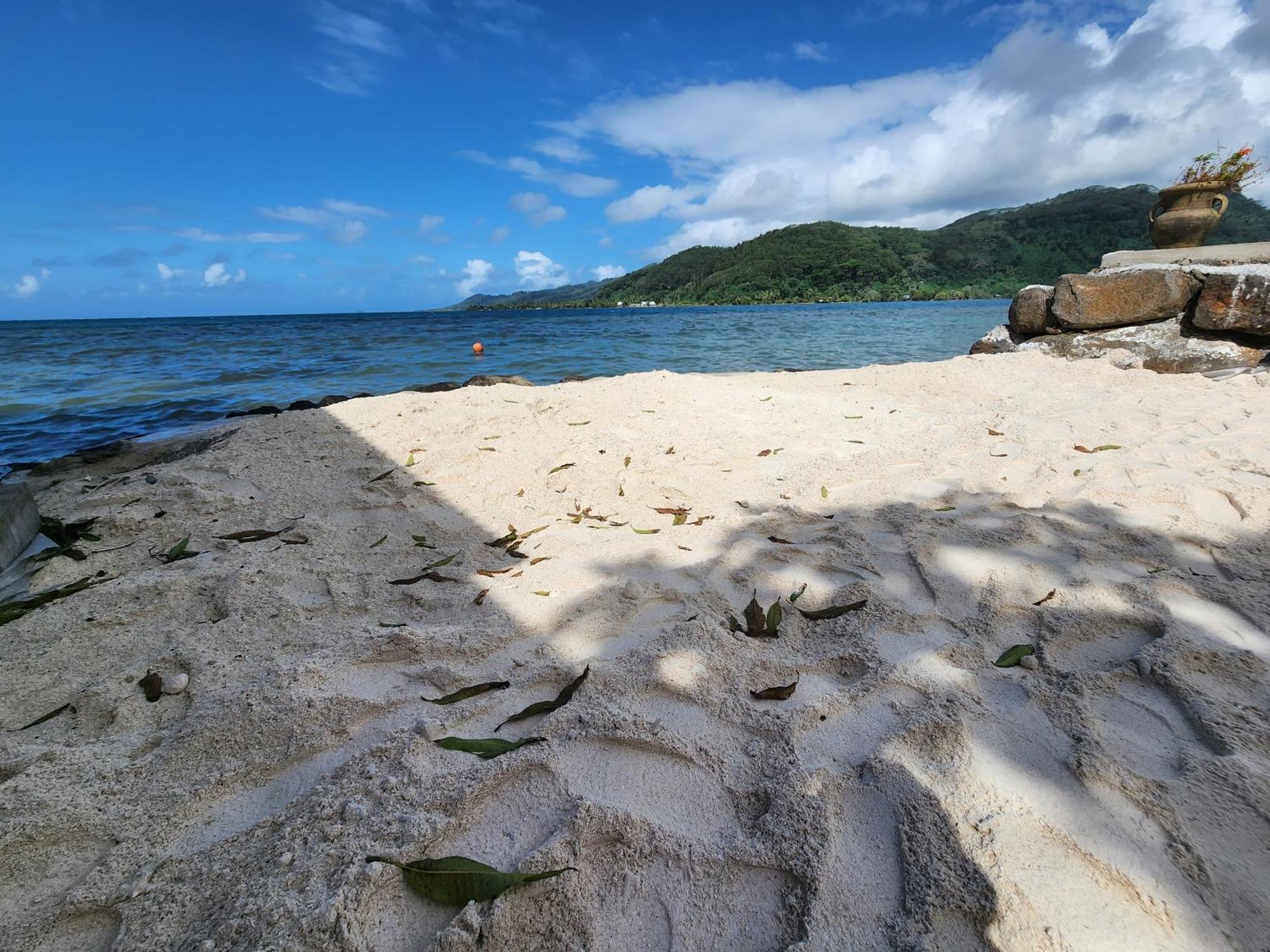 Duplex En Bord De Mer Fare Tahitea Pension Taputapuapea Esterno foto